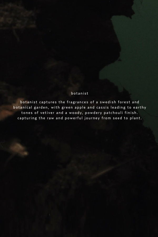 Bjork & Berries Botanist Vetiver Green Apple Birch Fragrance