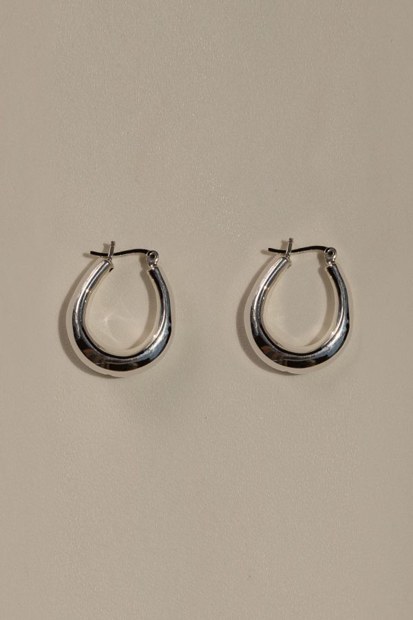 My Store Dani Hoops Earrings