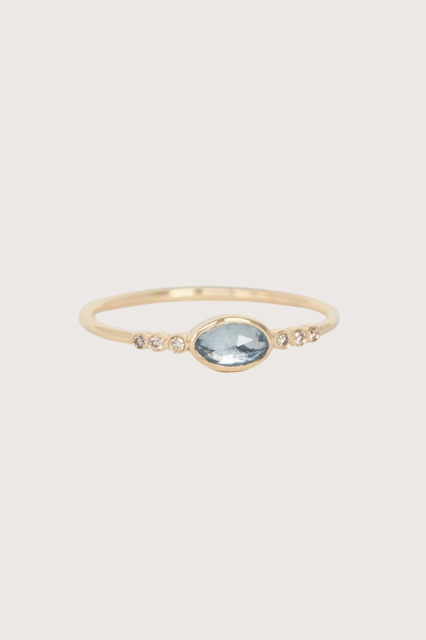 Celine Daoust Aquamarine & Six Small Diamond Ring