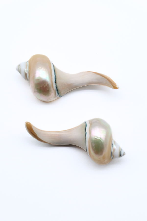 Inner Child Seashell Chopstick Rest Pair of 2