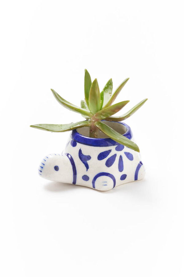 Matr Boomie Lalita Baby Turtle Mini Succulent Planter