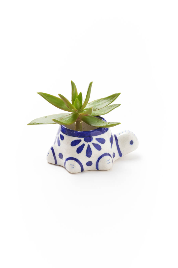 Matr Boomie Lalita Baby Turtle Mini Succulent Planter