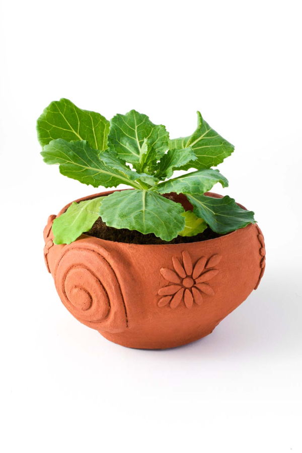 Matr Boomie Rakshana Snail Plant Pot