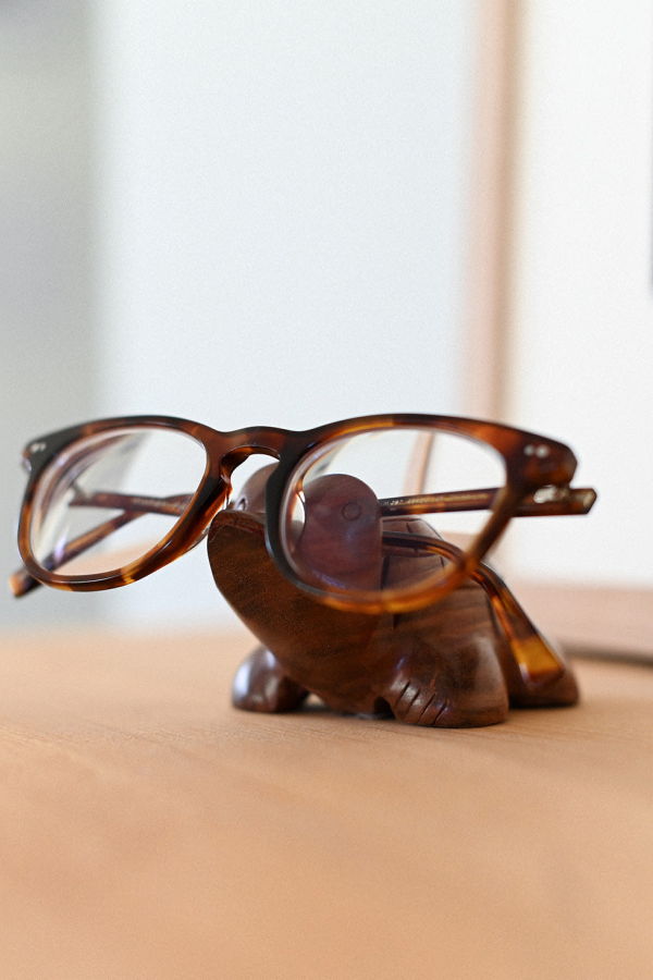 Matr Boomie Turtle Eyeglasses Holder - Indian Rosewood