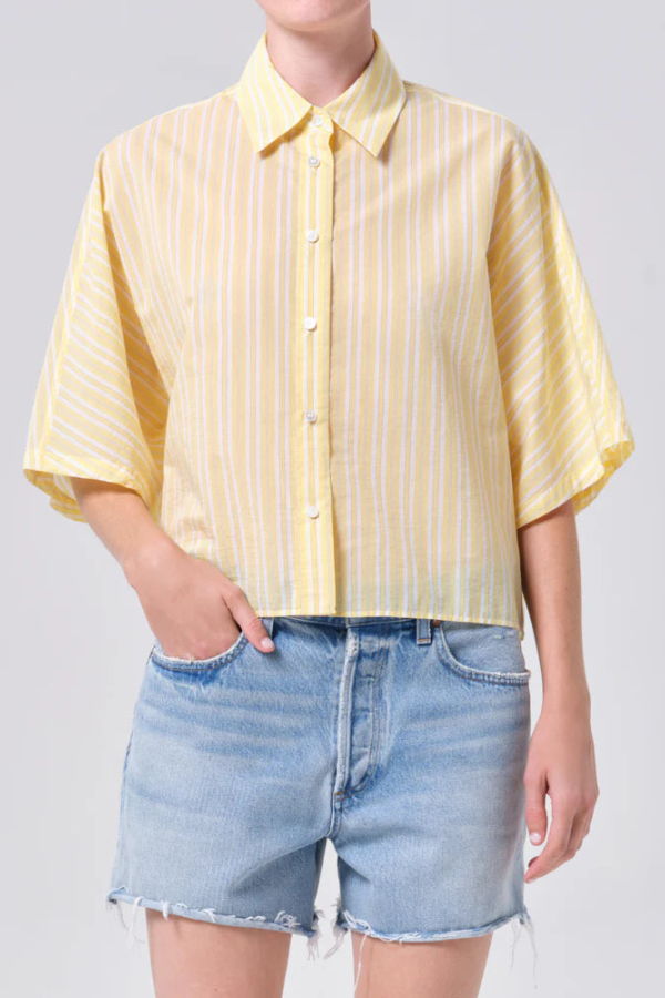 AGOLDE Merrin Shirt Wirrel Stripe