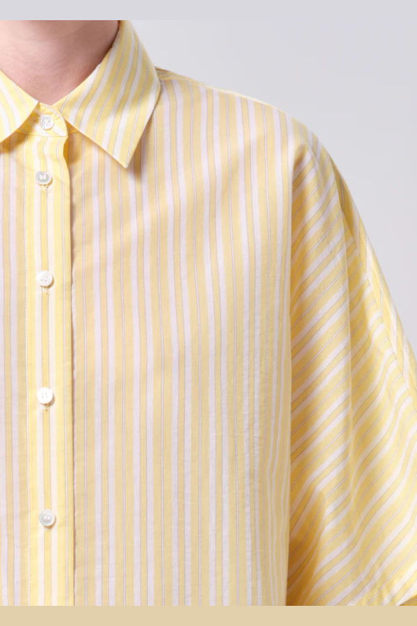 AGOLDE Merrin Shirt Wirrel Stripe