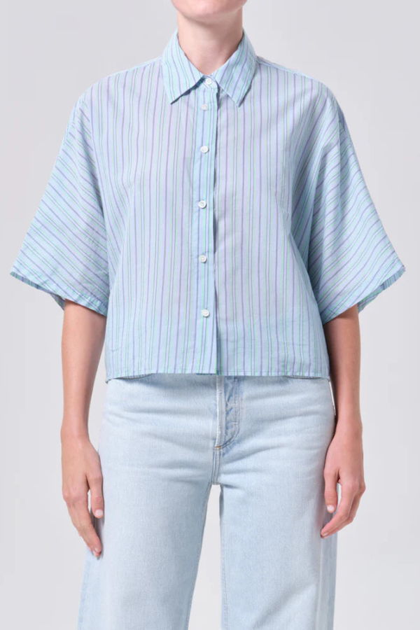 AGOLDE Merrin Shirt Wirrel Stripe