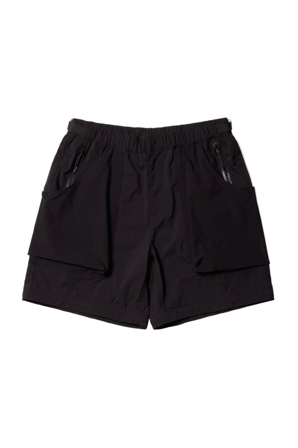 Purple Mountain Observatory Procyon Short