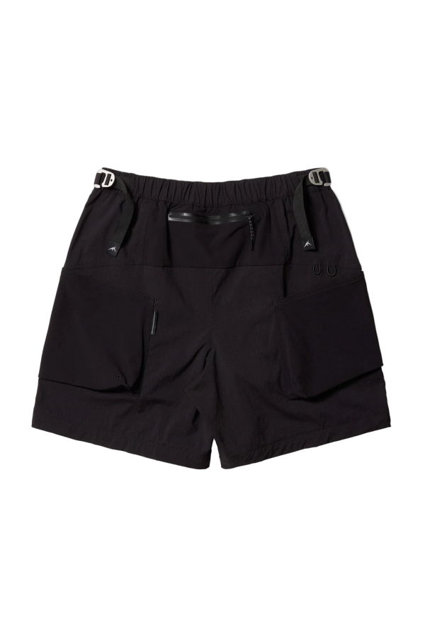 Purple Mountain Observatory Procyon Short