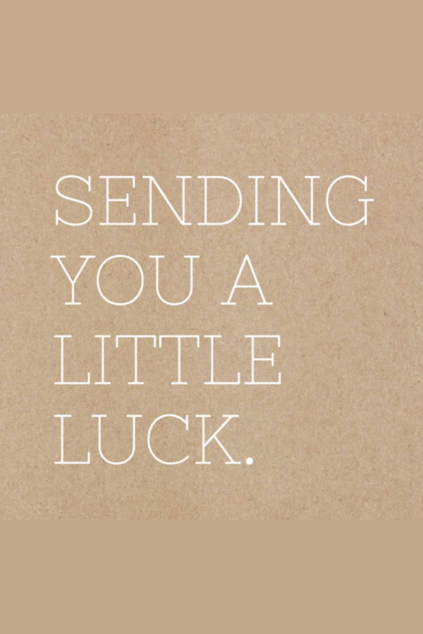 Bear + Scout Up-Cycled Lucky Horseshoes Wall Art