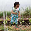 KIDS Little Green Radicals Blue Flowers Frill Summer Romper - Thumbnail 1