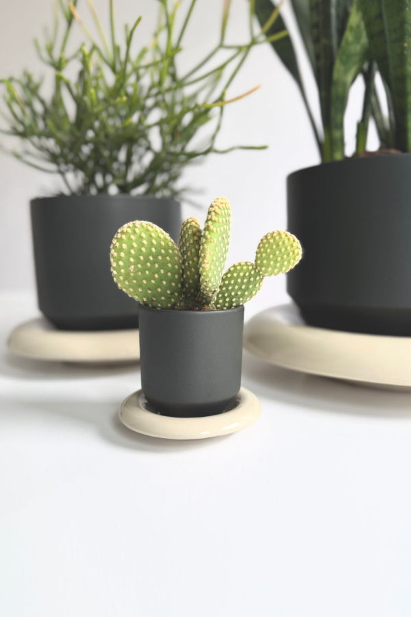 BERG Lily Pot & Saucer Set
