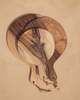 Une Vie Nomade Round Cutting Boards - Walnut - Thumbnail 13