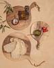Une Vie Nomade Round Cutting Boards - Walnut - Thumbnail 28