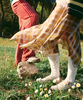 SALOMON RX Marie-Jeanne Woven Sneakers - Thumbnail 3