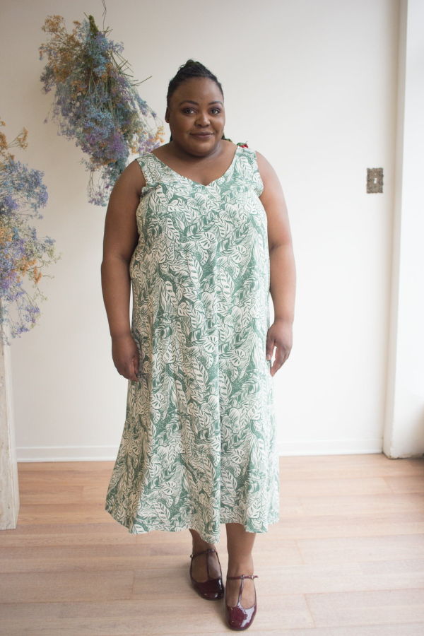 Birds of North America Brushfinch Dress