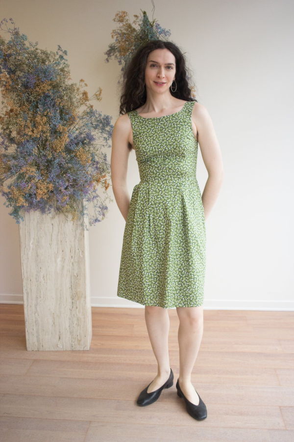 Birds of North America Myrmidon Dress