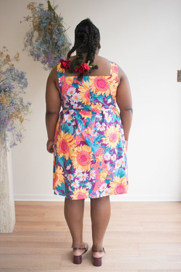 Birds of North America Myrmidon Dress