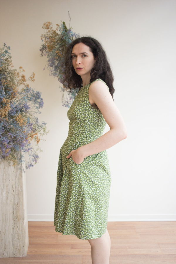 Birds of North America Peafowl Dress