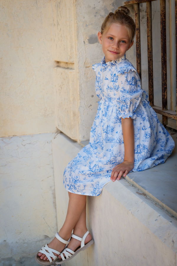Piper&Cloth Aoki Dress Three-Quarter Sleeve - Blue Toile