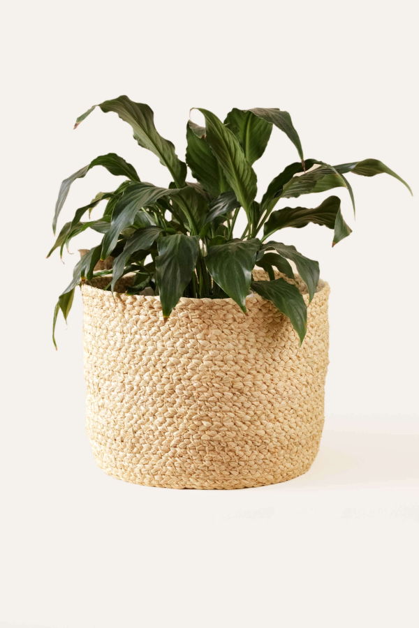 Indego Africa Braided Raffia Planter