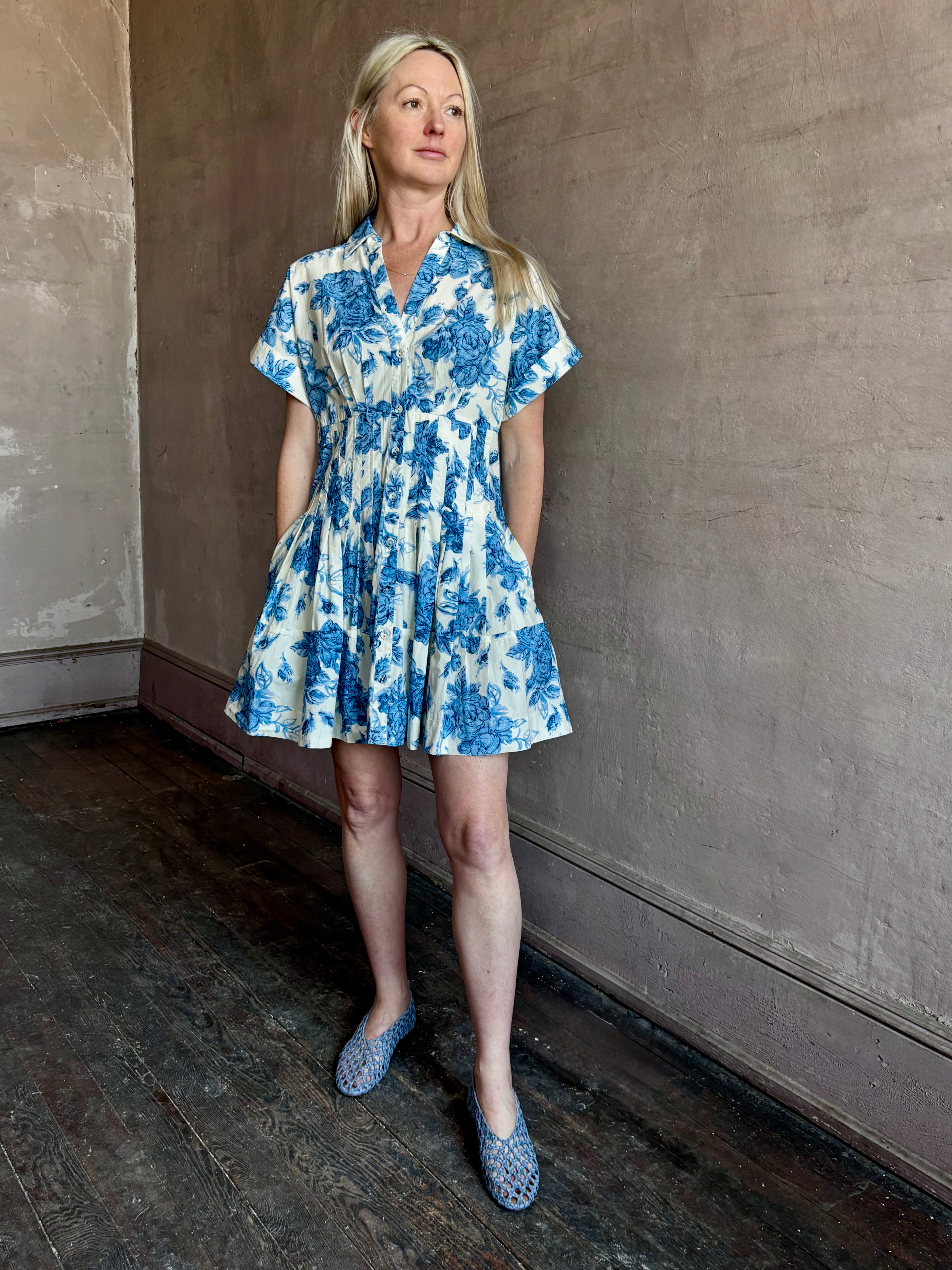 cara cara blue dress Cara Cara Nash Mini Dress