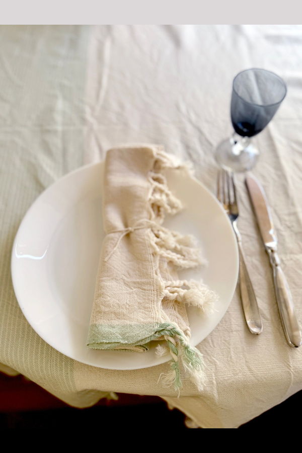 Home & Loft Sage Ivory Hand Towel