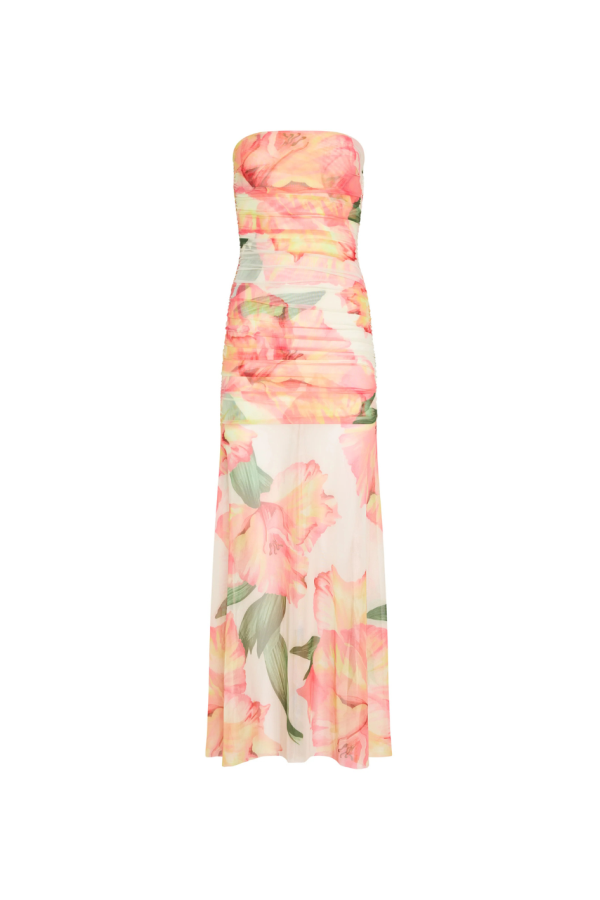 Amanda Uprichard Leo Maxi Dress - Hibiscus Print