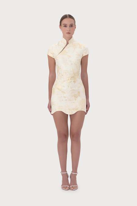 knee length dresses for ladies Rosana Lace Dress  SAU LEE