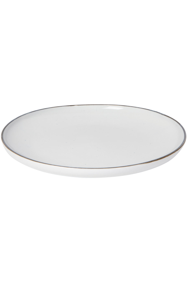 Danica Brands Set of 4 Tundra Dinner Plate 10.5 Inch