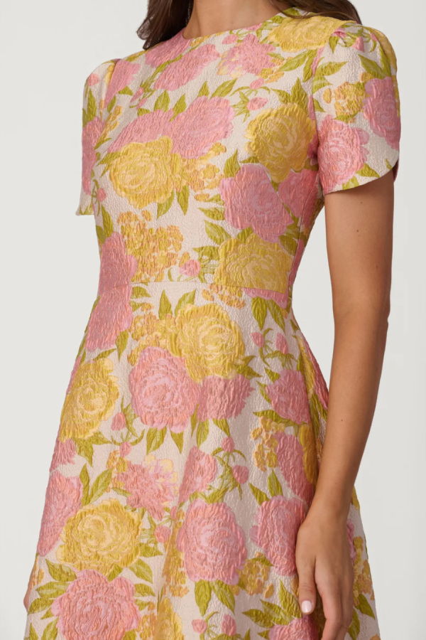 Shoshanna Vivianne Dress - Amber/Blush
