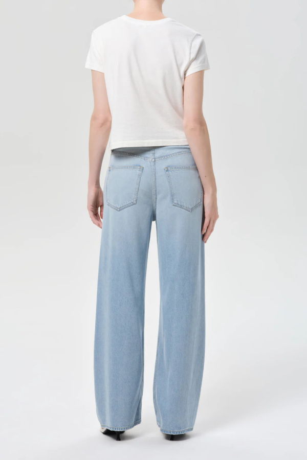 AGOLDE Low Curve Flyweight Jean