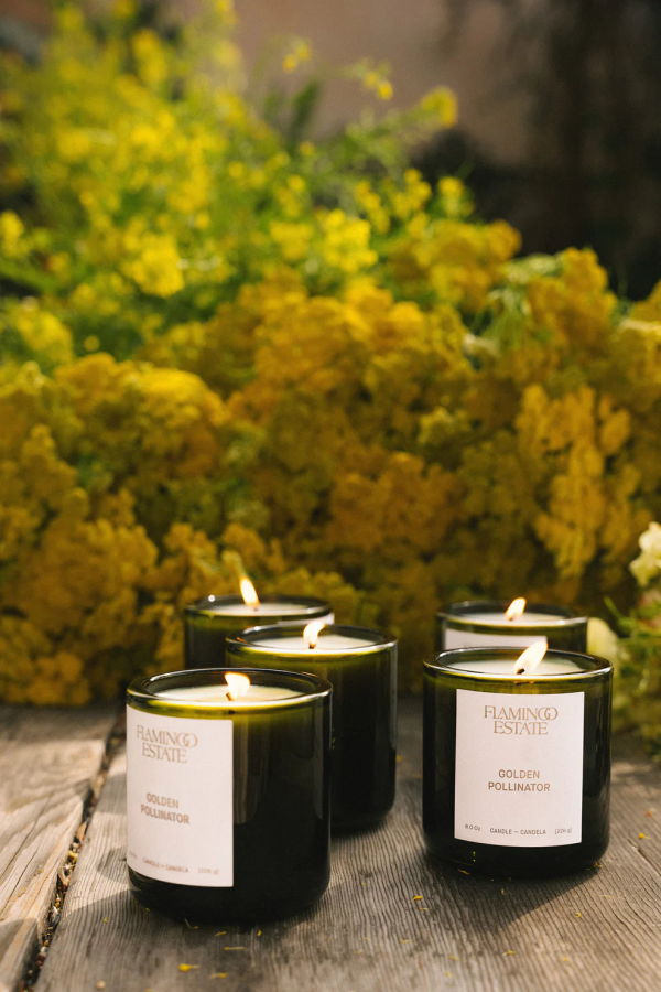Flamingo Estate Golden Pollinator Candle