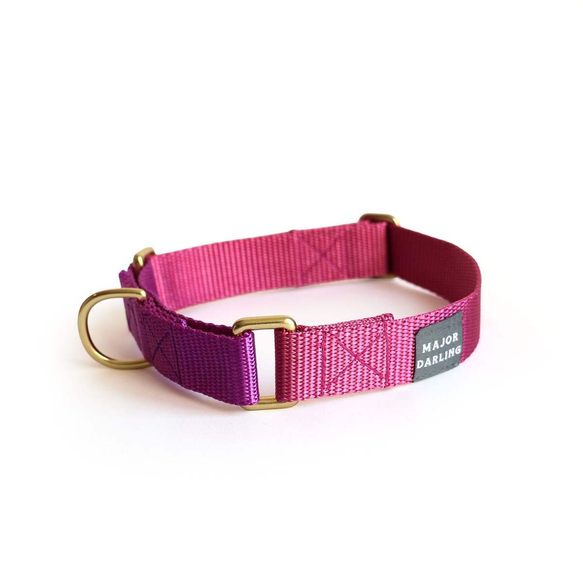 Major Darling Martingale Dog Collar - Image 1 of 4