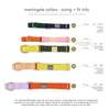 Major Darling Martingale Dog Collar - Thumbnail 2