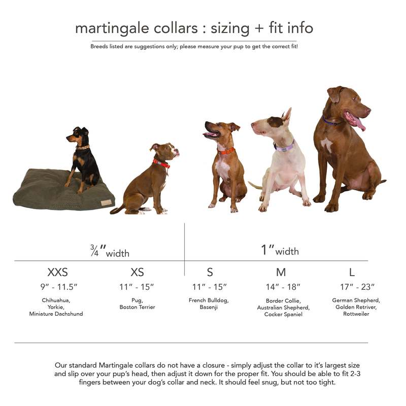 Major Darling Martingale Dog Collar