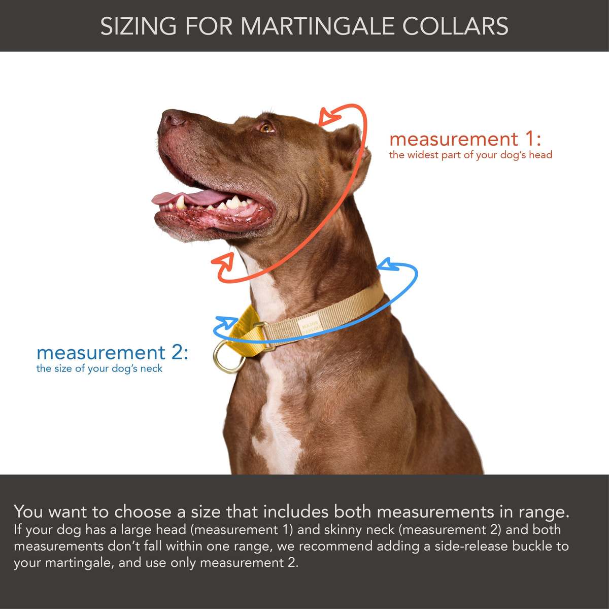 Major Darling Martingale Dog Collar - Image 4 of 4