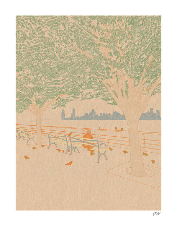Stephanie Browne Art Pigeons Print Stephanie Browne Art Pigeons Print