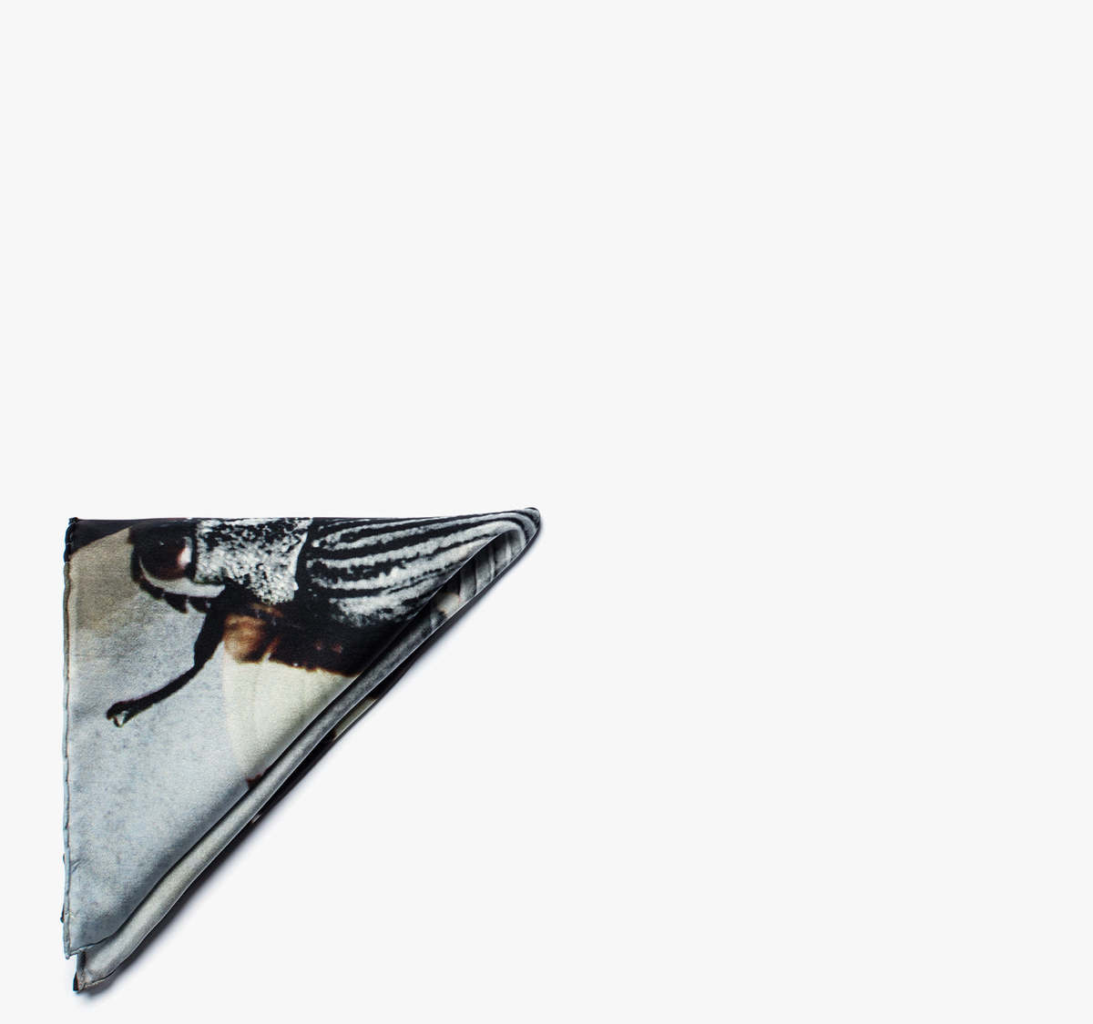 titleofwork Moth Mutation Pocket Square | Garmentory