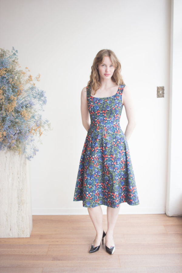 Birds of North America Columba Dress