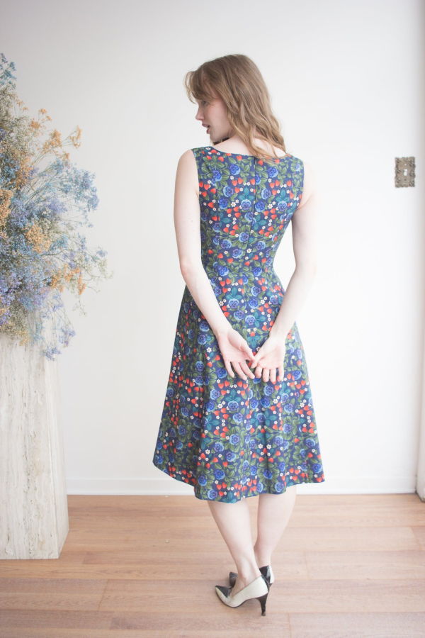 Birds of North America Columba Dress