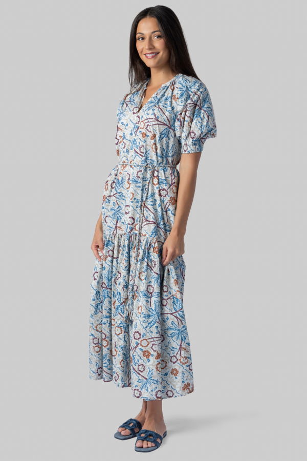 Apiece Apart Otillie Maxi Dress - Earthly Delights