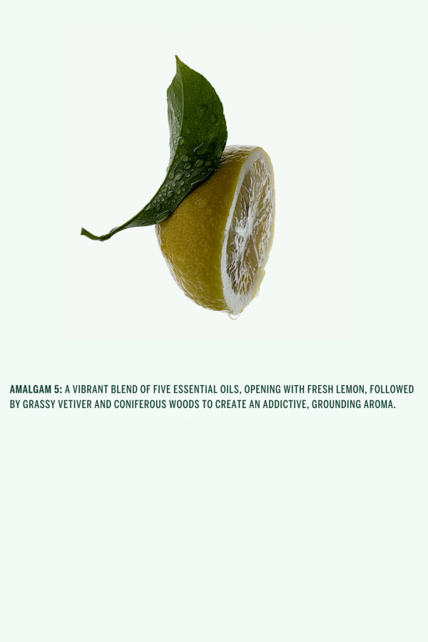 CORPUS Natural Hand Wash Amalgam 5