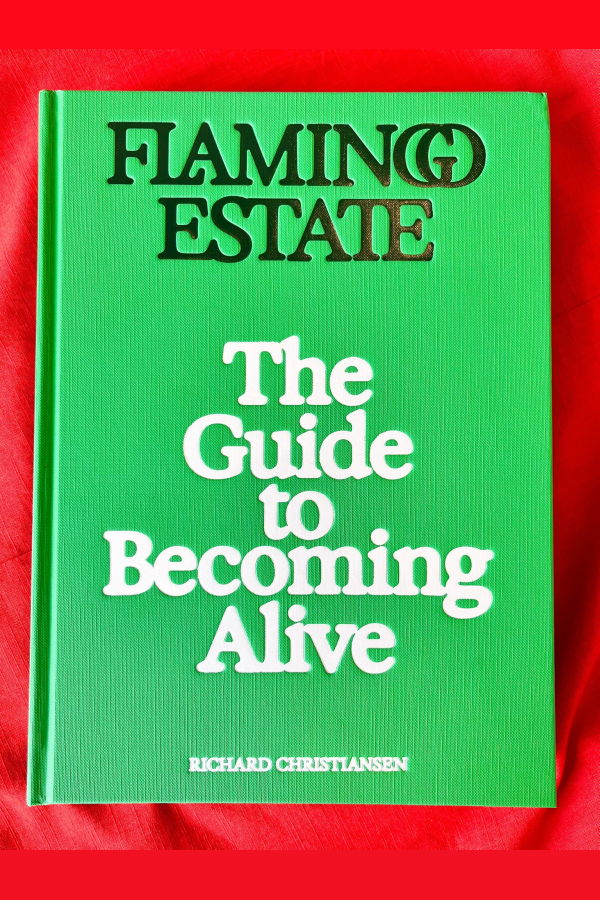 "The Guide to Becoming Alive" Book
