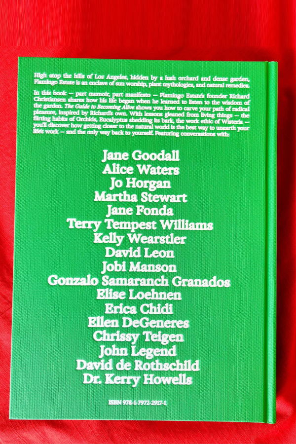 "The Guide to Becoming Alive" Book