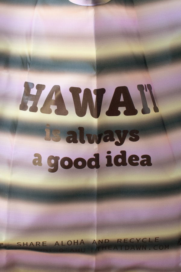 BAGGU "Hawaii" Standard Baggu Bag