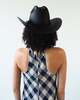 Clyde Western Hat in Toquilla Straw - Thumbnail 4