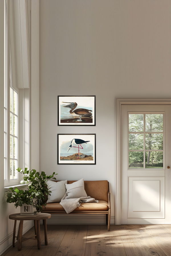 Antique Curiosities Long-Legged Avocet Framed Print