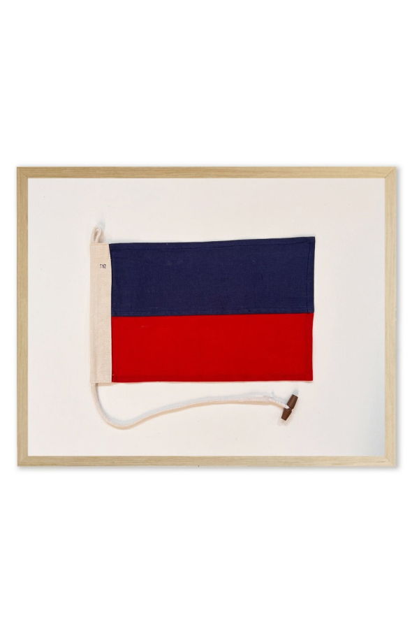 Antique Curiosities Flag Framed Print - Red/Navy