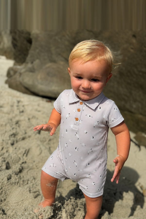 KIDS Me & Henry Molokai Seagulls Printed Woven Romper - Grey